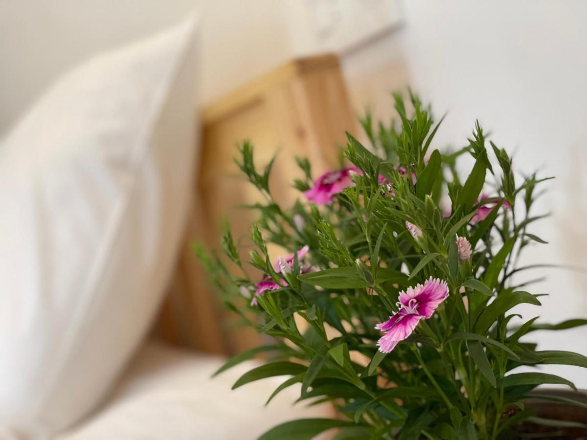 Pleiku Homestay Eksteriør billede