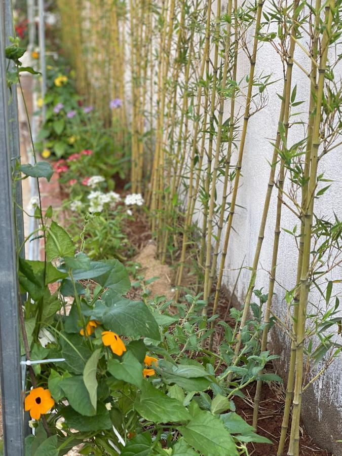 Pleiku Homestay Eksteriør billede