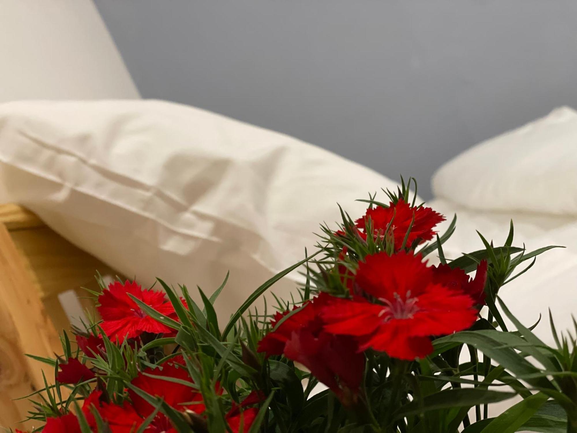 Pleiku Homestay Værelse billede